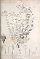  no thumbnail available