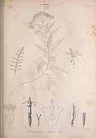  no thumbnail available