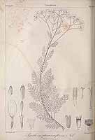  no thumbnail available