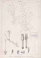  no thumbnail available