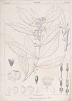  no thumbnail available