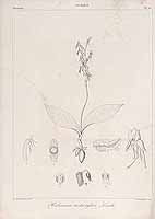  no thumbnail available