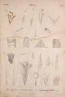  no thumbnail available