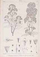  no thumbnail available