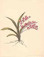  no thumbnail available