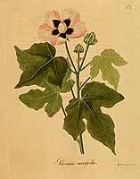  no thumbnail available