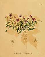  no thumbnail available