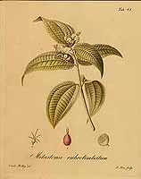  no thumbnail available