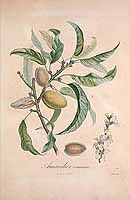  no thumbnail available