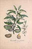  no thumbnail available