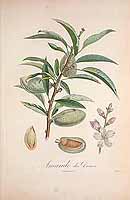  no thumbnail available