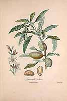  no thumbnail available