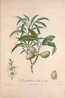  no thumbnail available