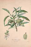  no thumbnail available