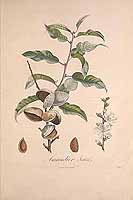  no thumbnail available