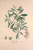  no thumbnail available