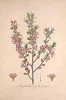  no thumbnail available