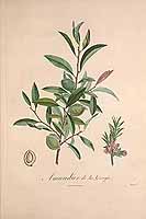  no thumbnail available