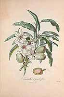  no thumbnail available