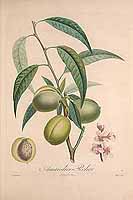  no thumbnail available