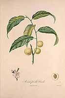  no thumbnail available