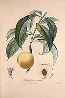  no thumbnail available