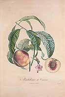  no thumbnail available