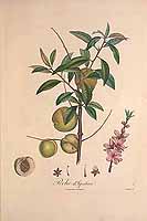  no thumbnail available