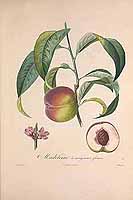  no thumbnail available