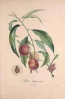  no thumbnail available