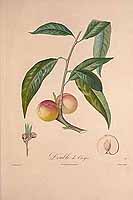  no thumbnail available