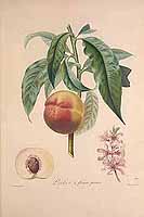  no thumbnail available