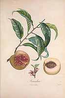  no thumbnail available