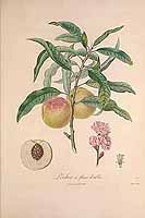  no thumbnail available