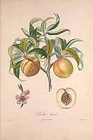  no thumbnail available