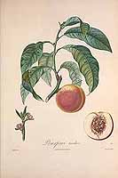  no thumbnail available