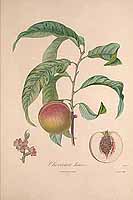  no thumbnail available