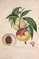  no thumbnail available