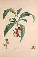  no thumbnail available