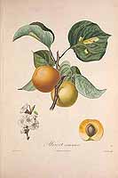  no thumbnail available