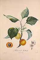  no thumbnail available