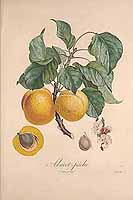  no thumbnail available