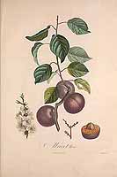  no thumbnail available