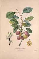  no thumbnail available