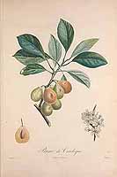  no thumbnail available