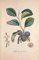  no thumbnail available