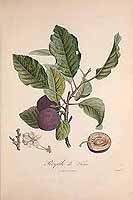  no thumbnail available