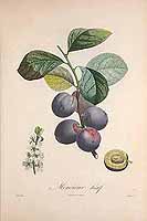  no thumbnail available