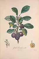  no thumbnail available