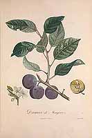  no thumbnail available